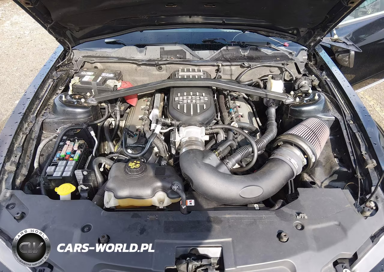 2011 Ford Mustang Gt Premium VIN:1ZVBP8FF7B5124431 - 10
