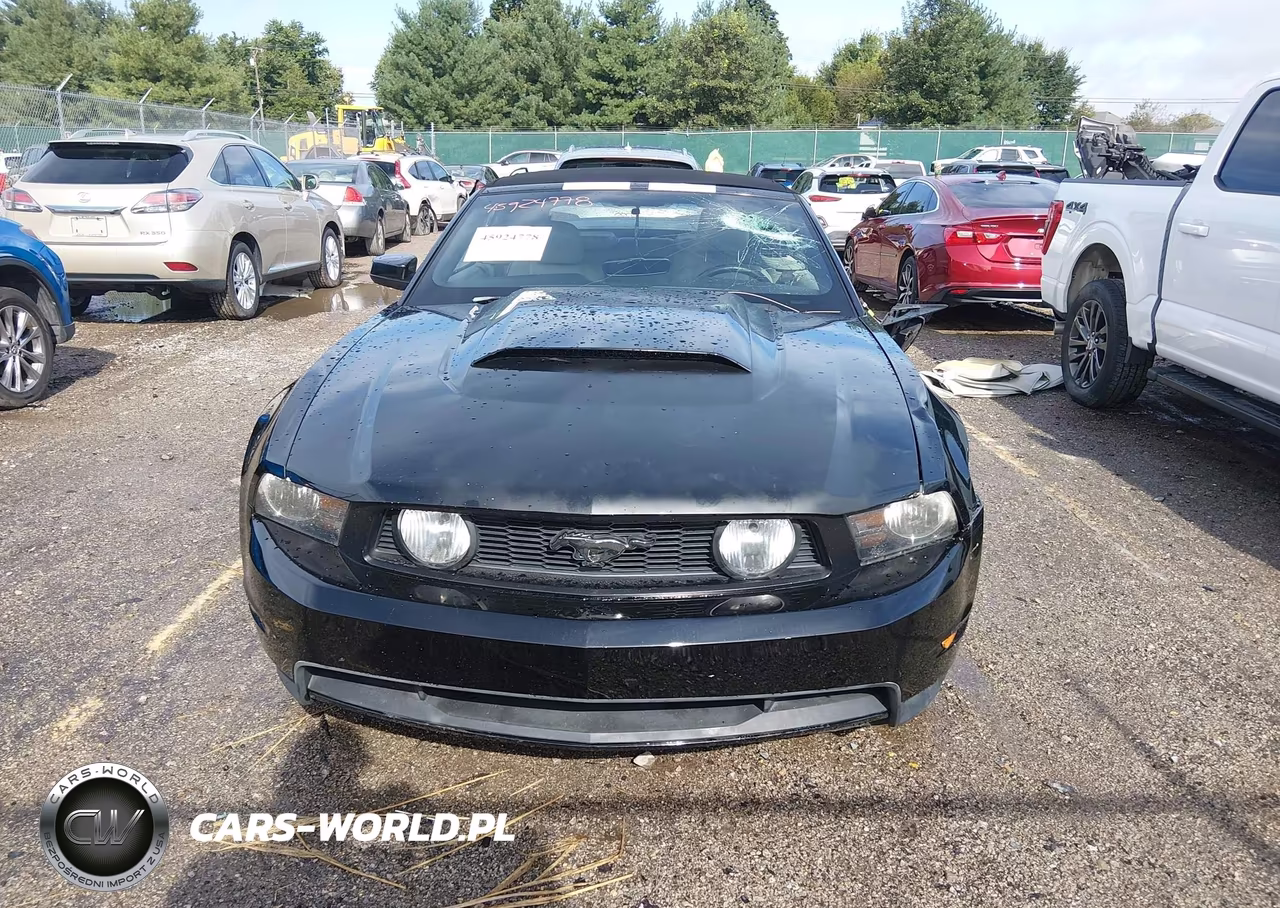 2011 Ford Mustang Gt Premium VIN:1ZVBP8FF7B5124431 - 12