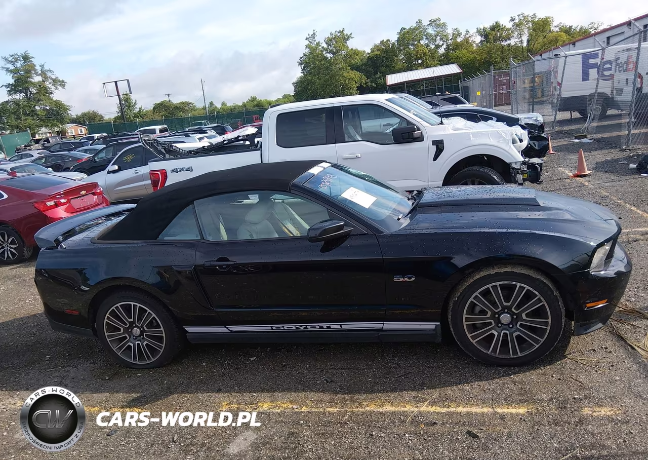 2011 Ford Mustang Gt Premium VIN:1ZVBP8FF7B5124431 - 13