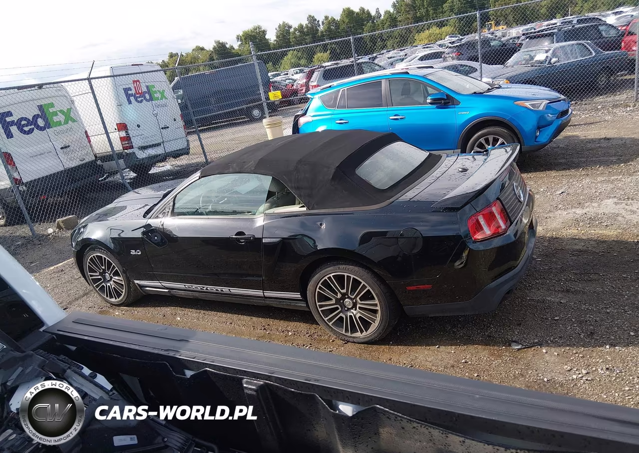 2011 Ford Mustang Gt Premium VIN:1ZVBP8FF7B5124431 - 14