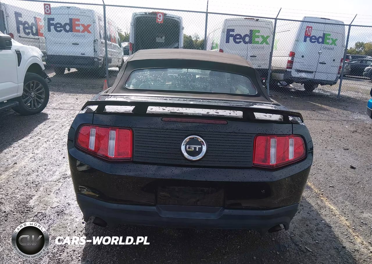 2011 Ford Mustang Gt Premium VIN:1ZVBP8FF7B5124431 - 16
