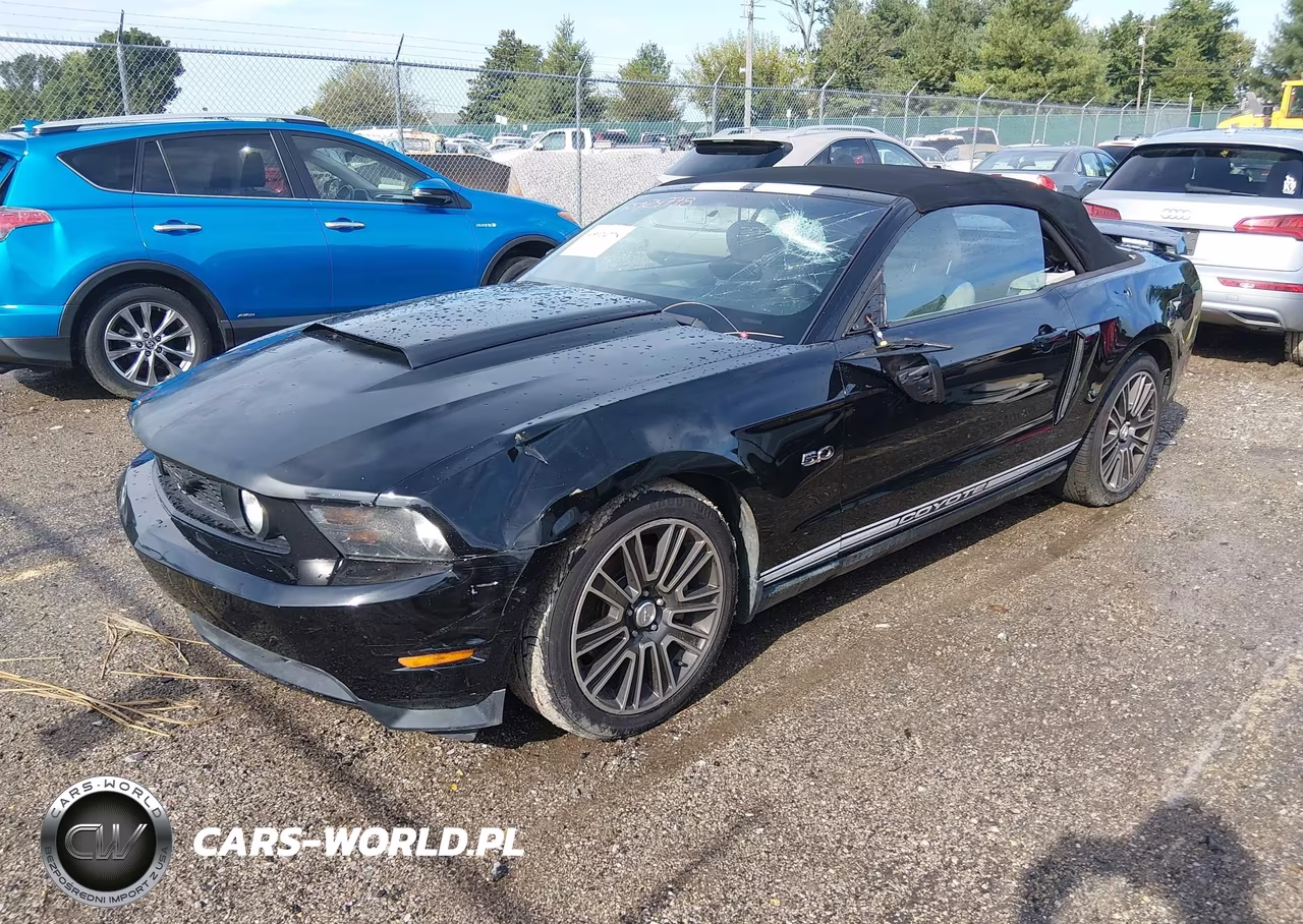2011 Ford Mustang Gt Premium VIN:1ZVBP8FF7B5124431 - 2