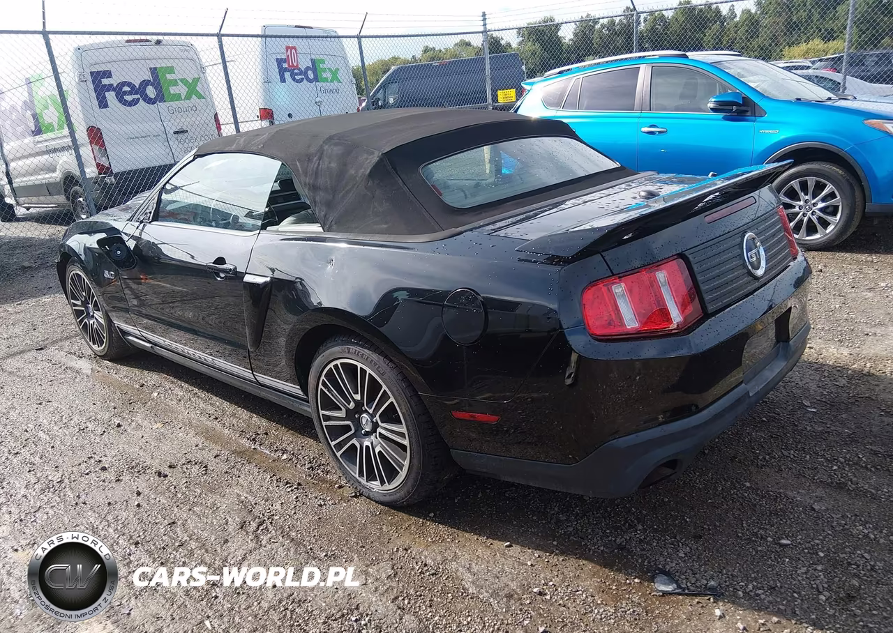 2011 Ford Mustang Gt Premium VIN:1ZVBP8FF7B5124431 - 3