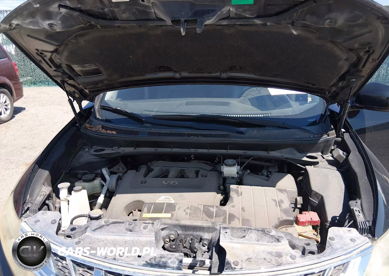 2014 Nissan Murano Le VIN:JN8AZ1MU5EW413859 - 10