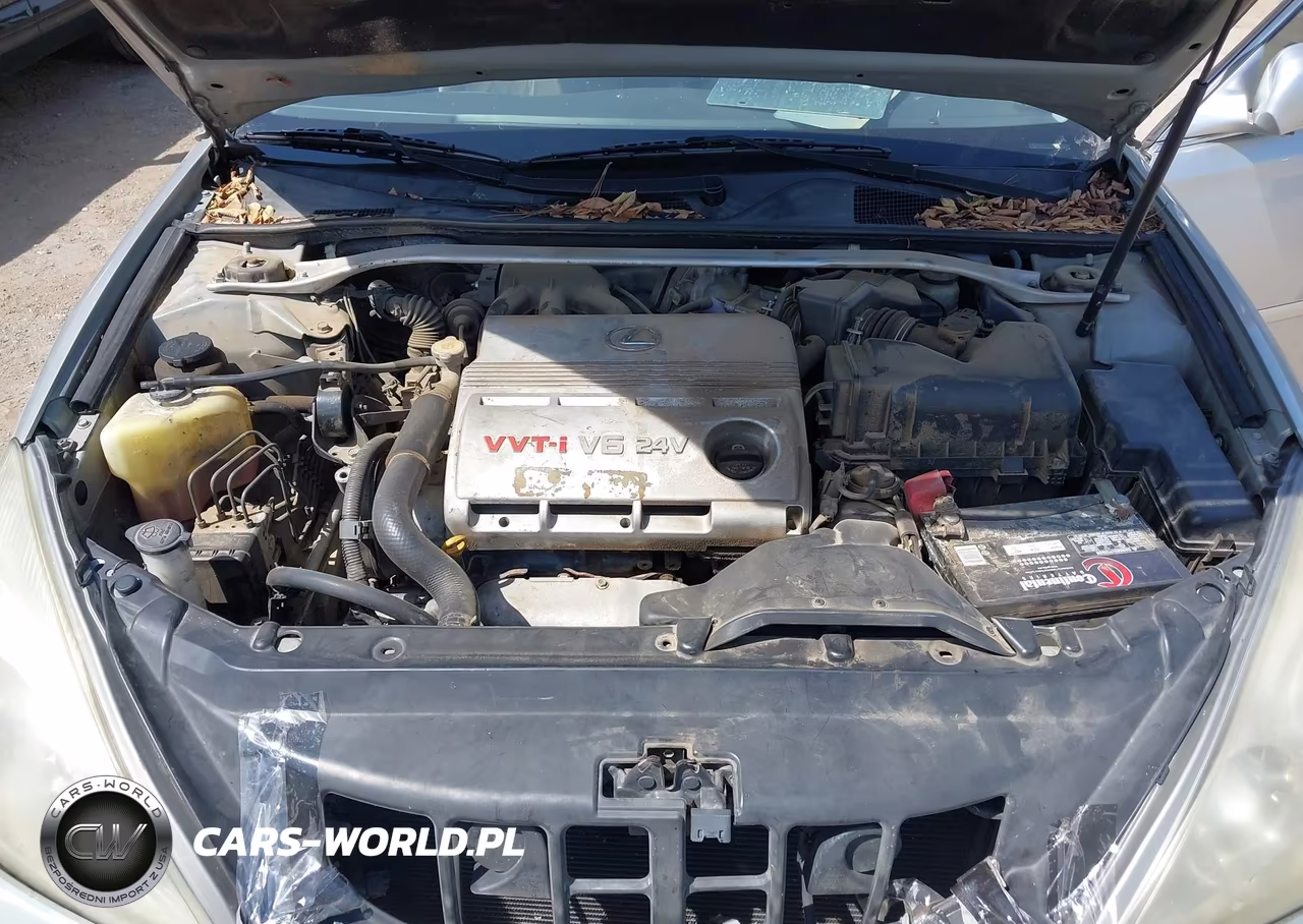 2002 Lexus Es 300 VIN:JTHBF30G425021170 - 10