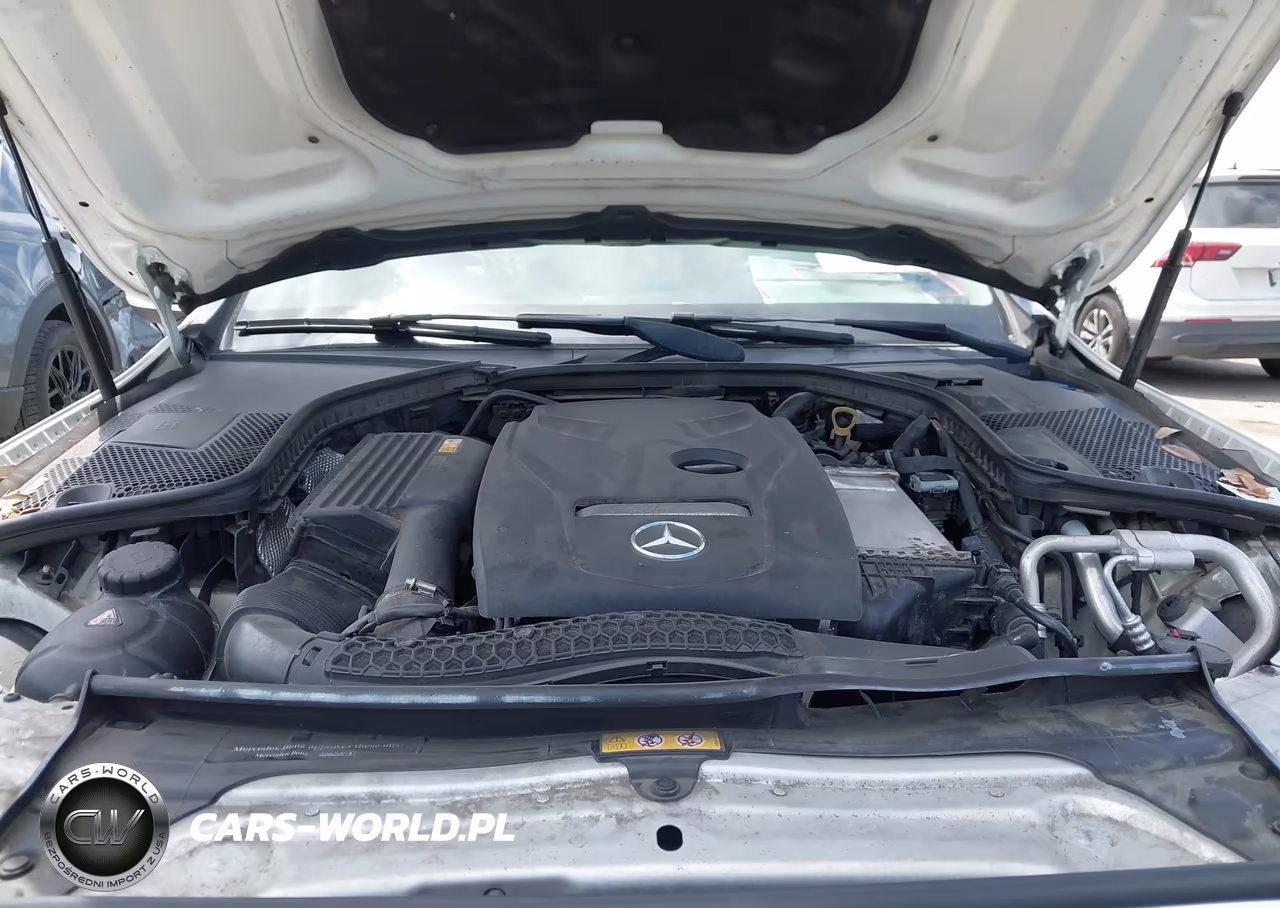 2018 Mercedes-Benz C 300 VIN:55SWF4JB8JU276556 - 10