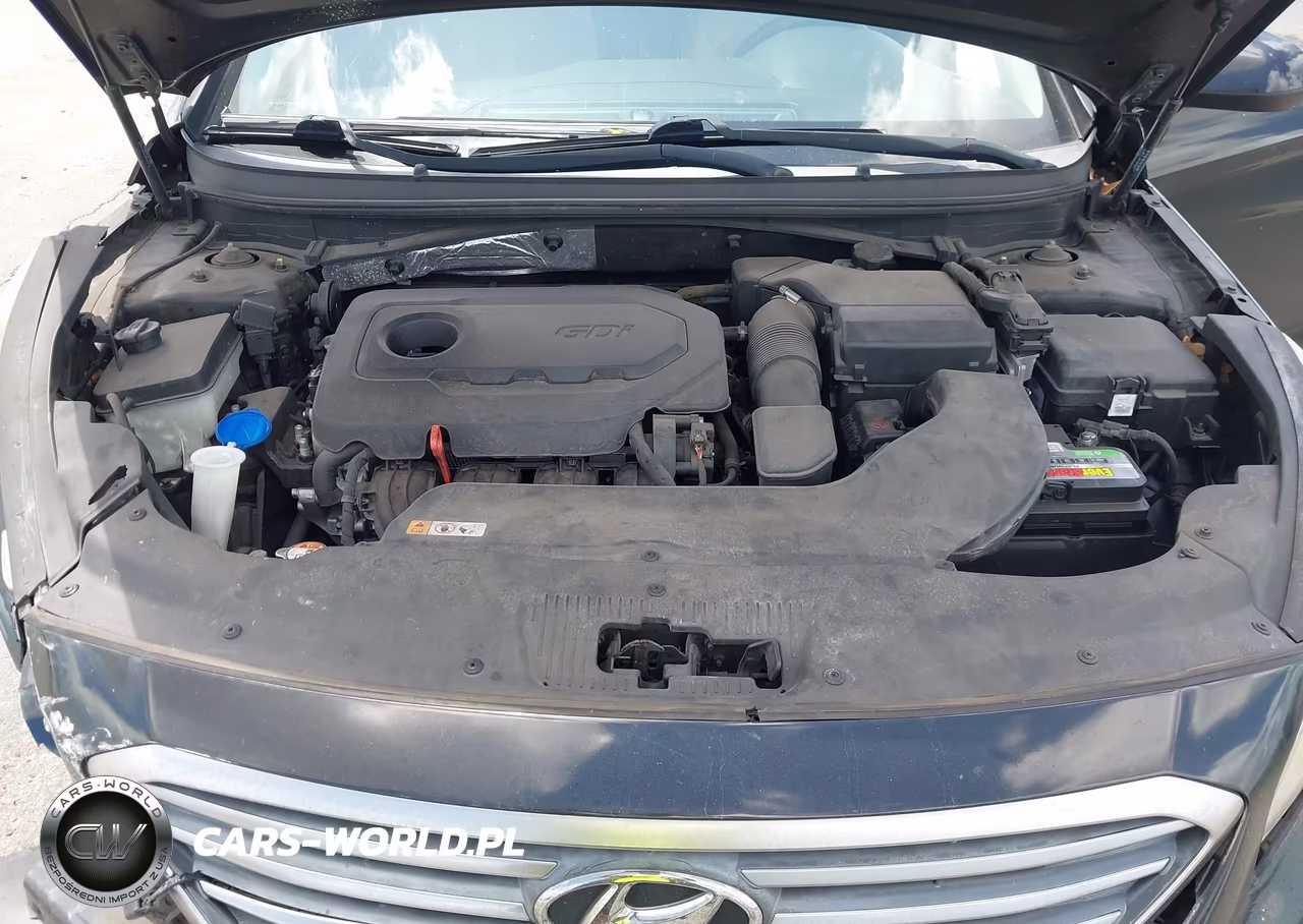 2015 Hyundai Sonata Se VIN:5NPE24AF8FH166532 - 10