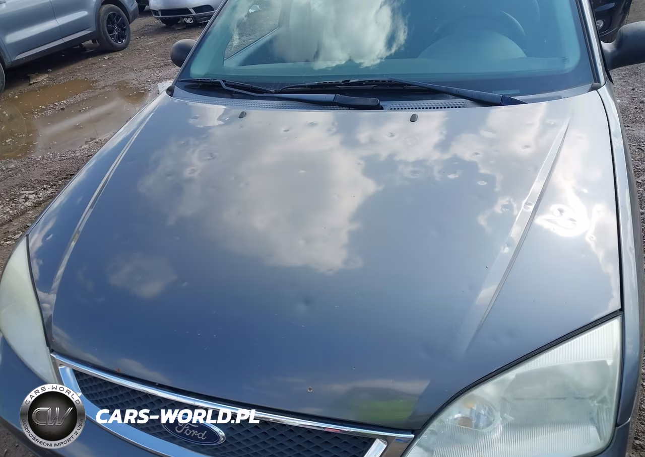 2006 Ford Focus Zxw VIN:1FAFP36N06W167660 - 6
