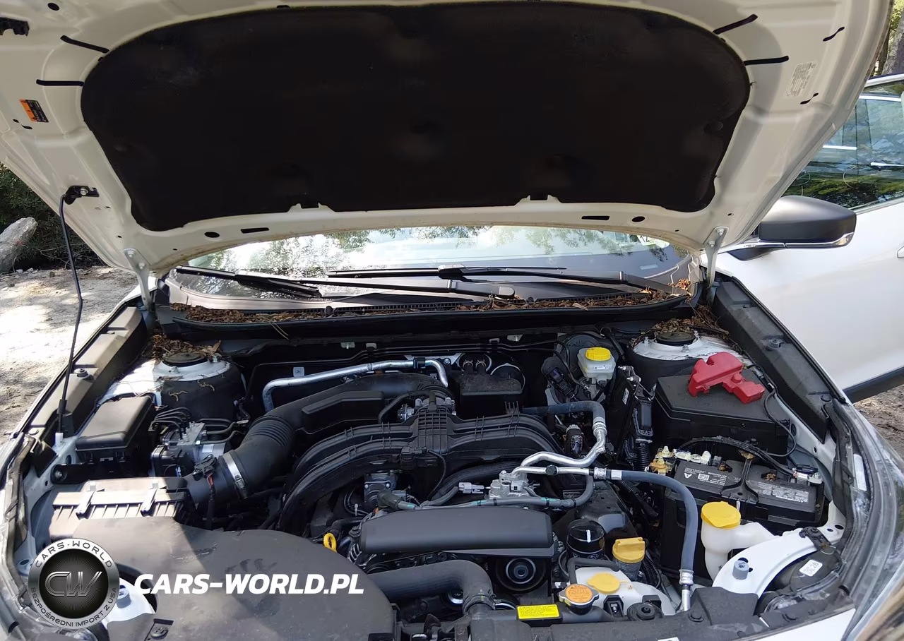 2025 Subaru Outback VIN:4S4BTAAC9S3189680 - 10