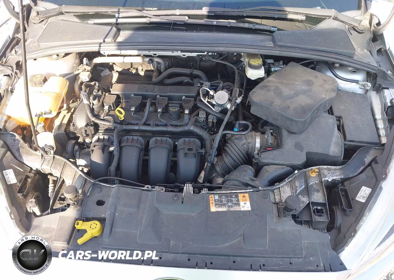 2017 Ford Focus Se VIN:1FADP3F24HL338900 - 10