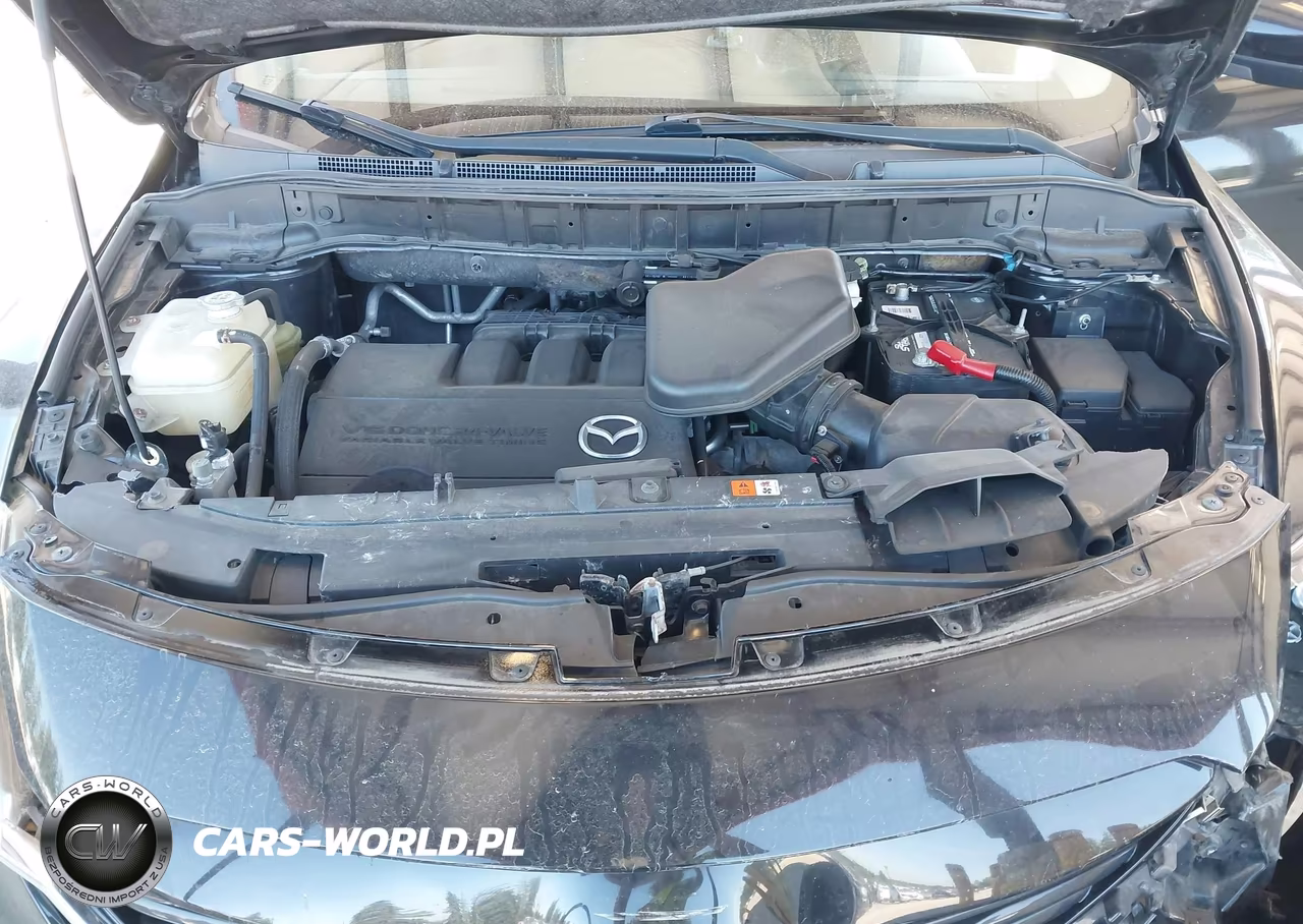 2013 Mazda Cx-9 Touring VIN:JM3TB3CV9D0402340 - 10