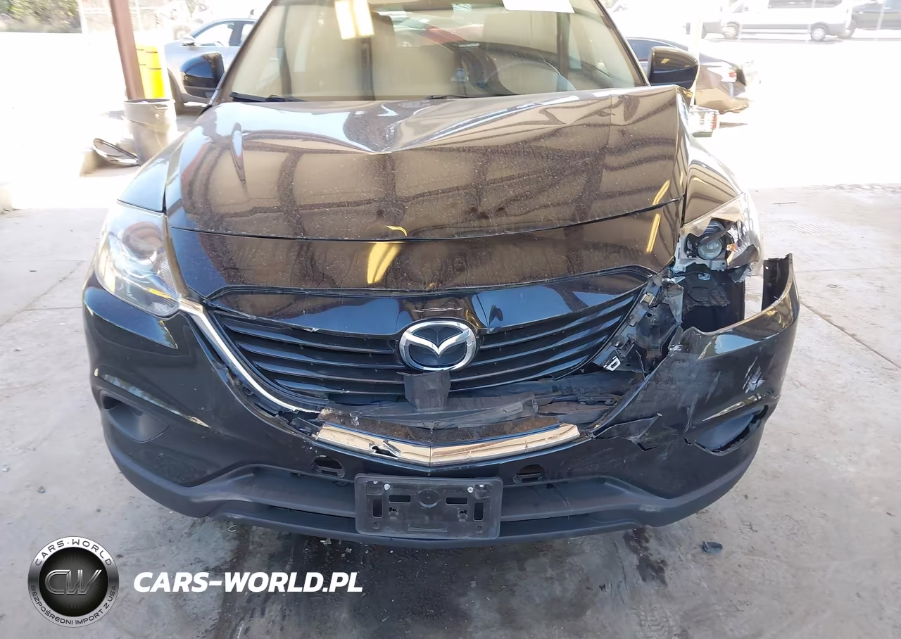 2013 Mazda Cx-9 Touring VIN:JM3TB3CV9D0402340 - 6
