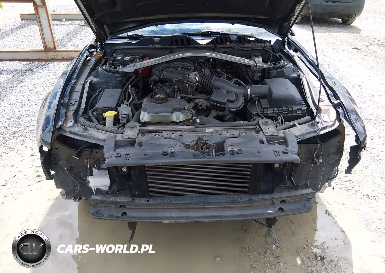 2013 Ford Mustang V6 VIN:1ZVBP8EM7D5209854 - 10