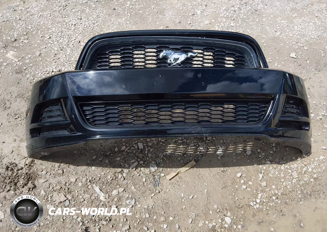 2013 Ford Mustang V6 VIN:1ZVBP8EM7D5209854 - 12