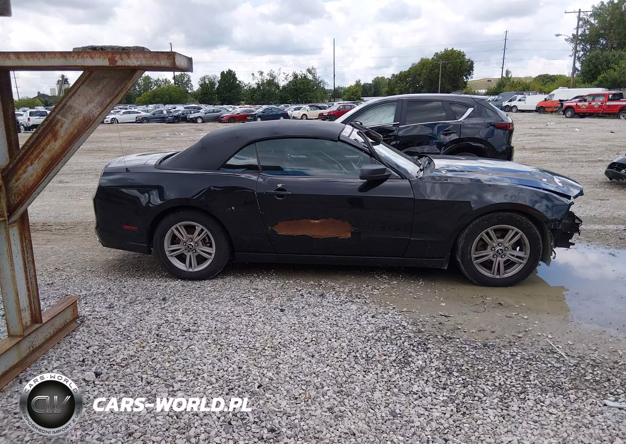 2013 Ford Mustang V6 VIN:1ZVBP8EM7D5209854 - 14