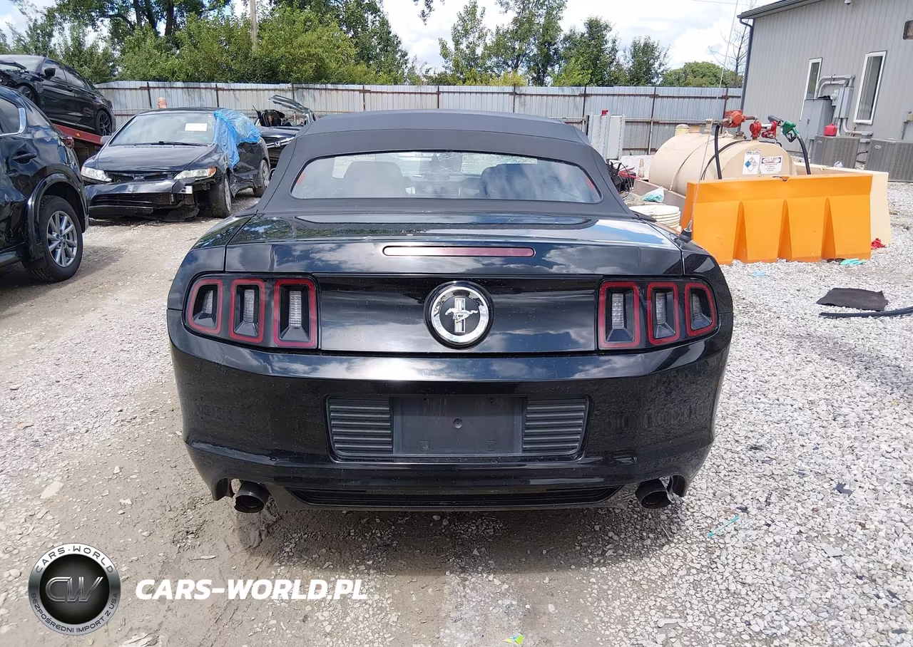 2013 Ford Mustang V6 VIN:1ZVBP8EM7D5209854 - 17