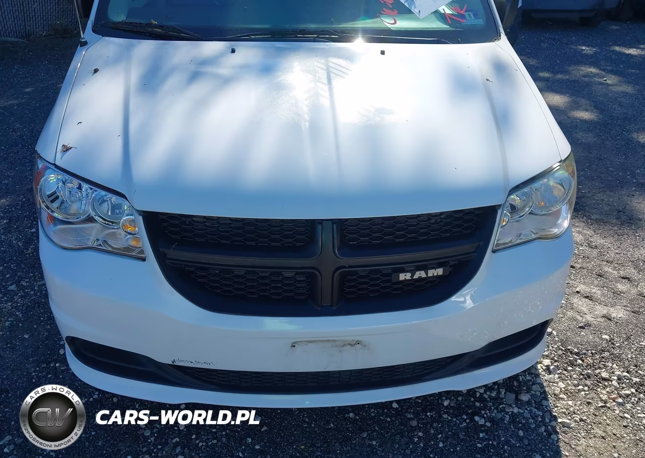 2015 Ram Cargo Tradesman VIN:2C4JRGAG6FR568220 - 12