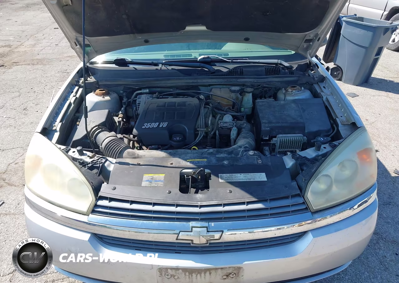 2005 Chevrolet Malibu Ls VIN:1G1ZT54885F195015 - 10