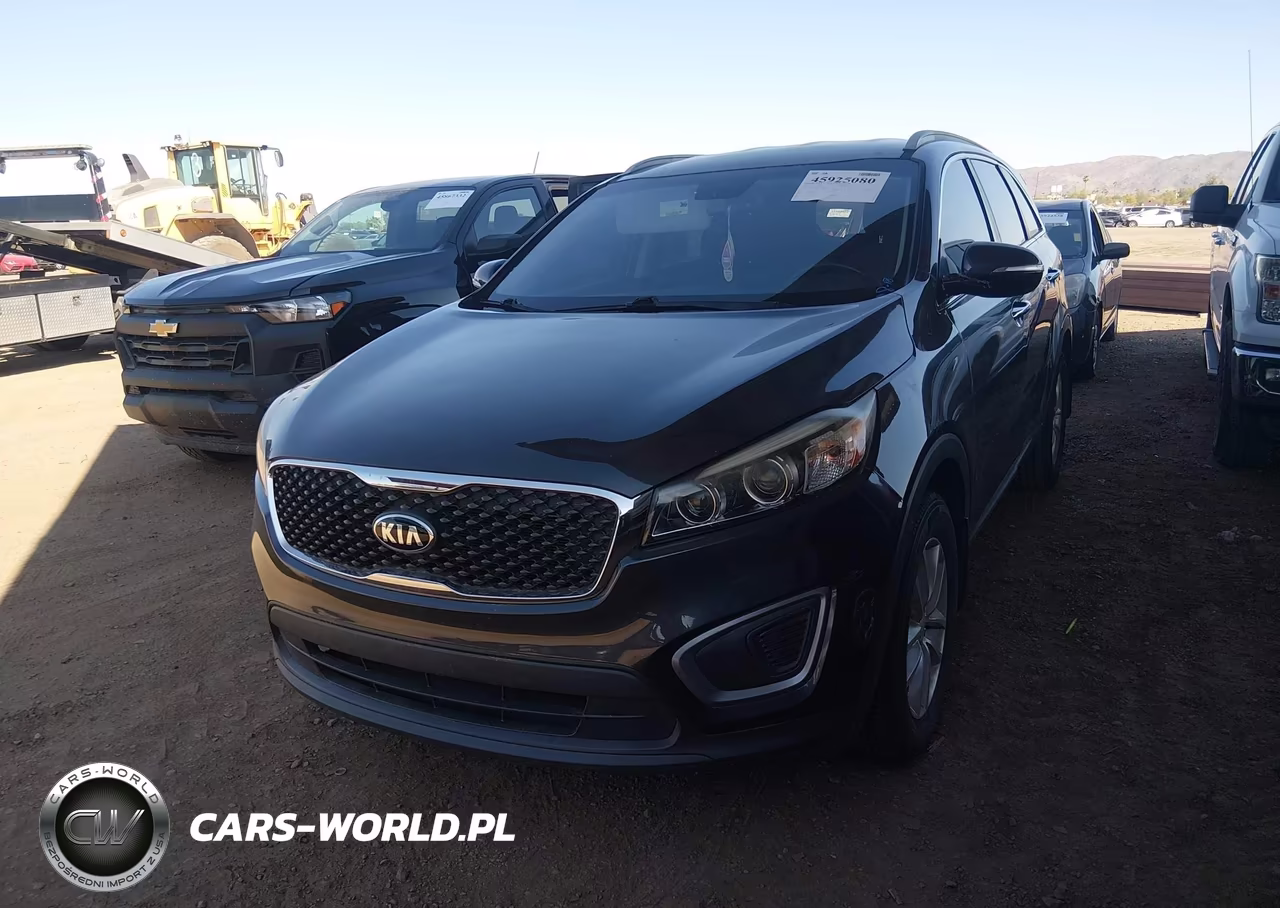 2016 Kia Sorento 2.4L Lx VIN:5XYPG4A30GG069317 - 6