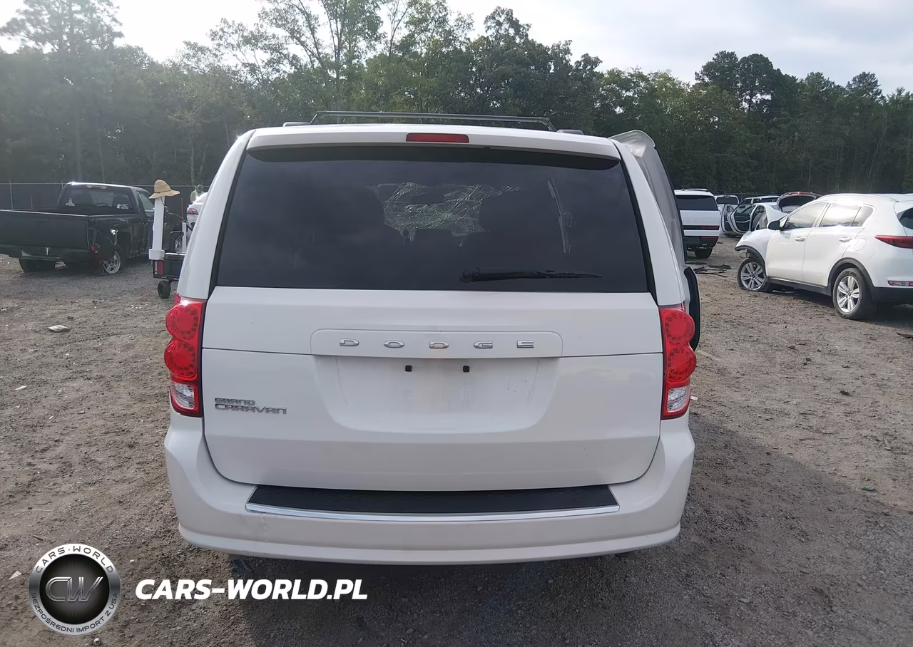 2013 Dodge Grand Caravan Sxt VIN:2C4RDGCG1DR746658 - 17