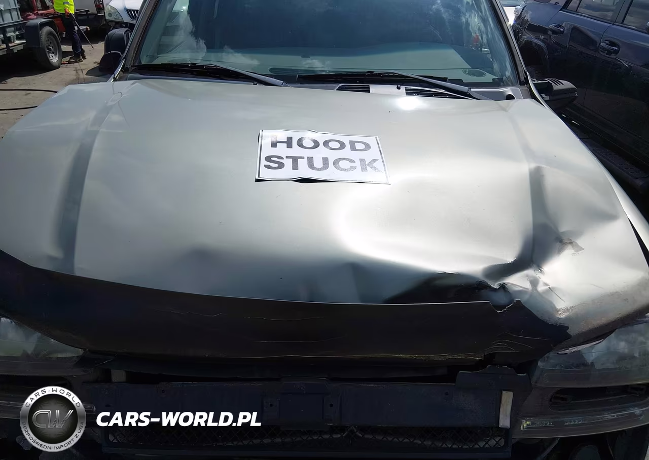 2003 Chevrolet Trailblazer Ext Lt VIN:1GNES16S636156325 - 10