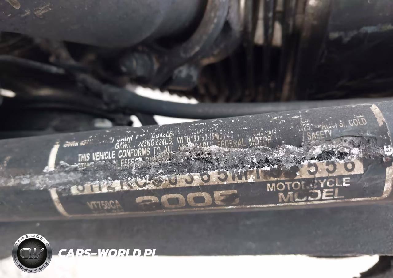 2004 Honda Vt750 Ca VIN:JH2RC50365M101556 - 10