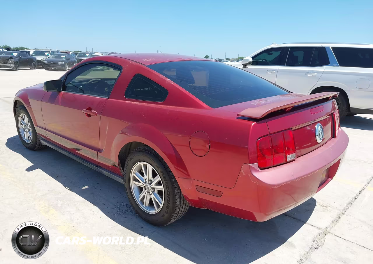 2006 Ford Mustang V6 VIN:1ZVFT80N165239481 - 3