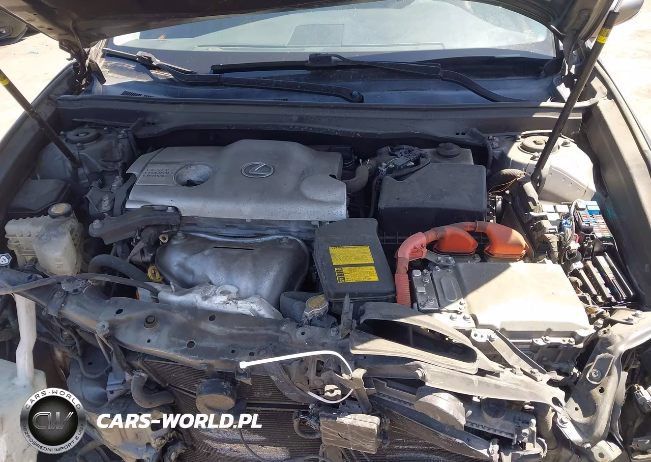 2013 Lexus Es 300H VIN:JTHBW1GG3D2031686 - 10