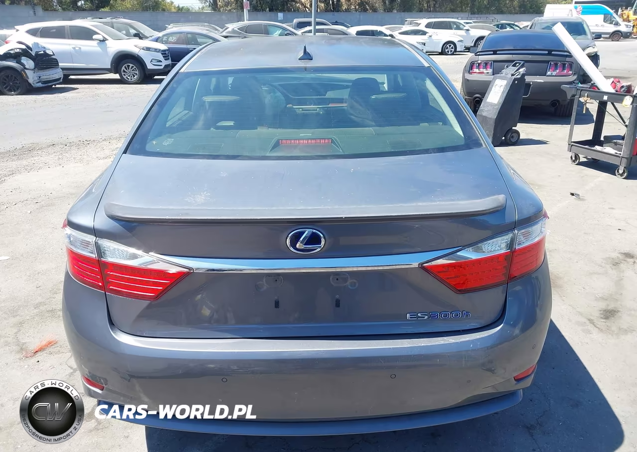 2013 Lexus Es 300H VIN:JTHBW1GG3D2031686 - 17
