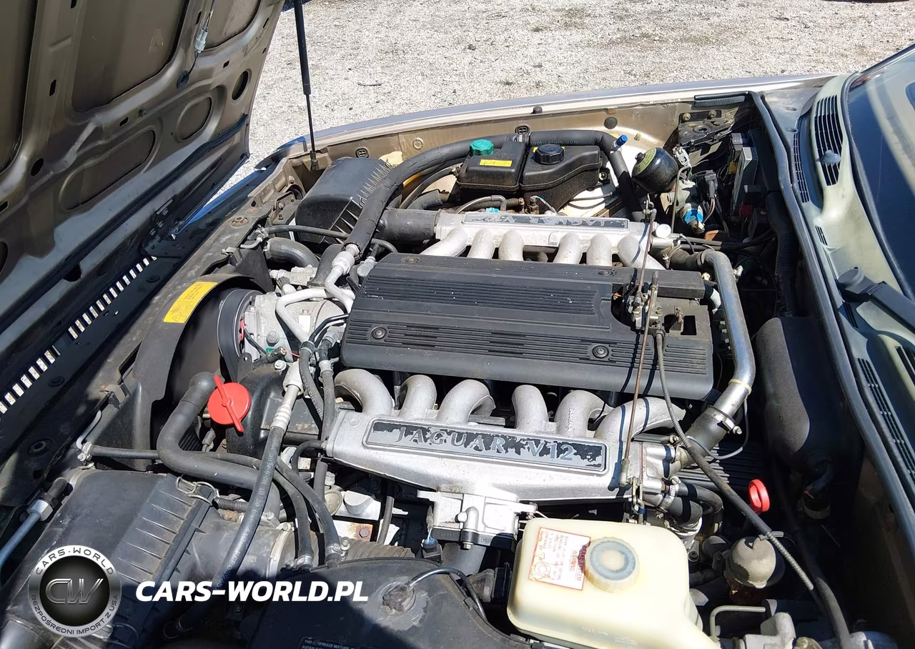 1994 Jaguar Xj12 VIN:SAJMW1343RC676069 - 10