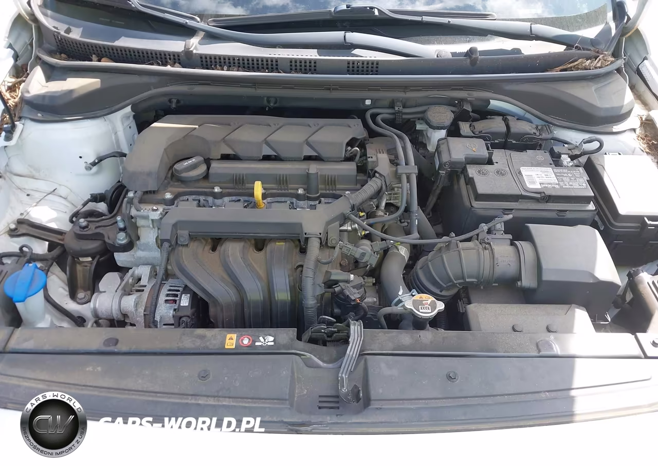 2020 Hyundai Accent Se VIN:3KPC24A67LE109116 - 10