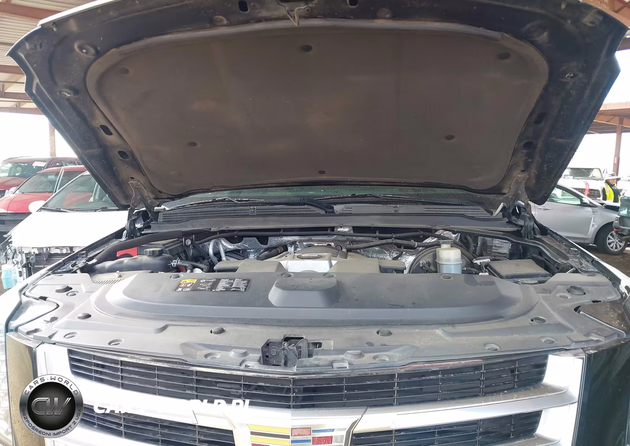 2015 Cadillac Escalade Premium VIN:1GYS4NKJ7FR646666 - 10