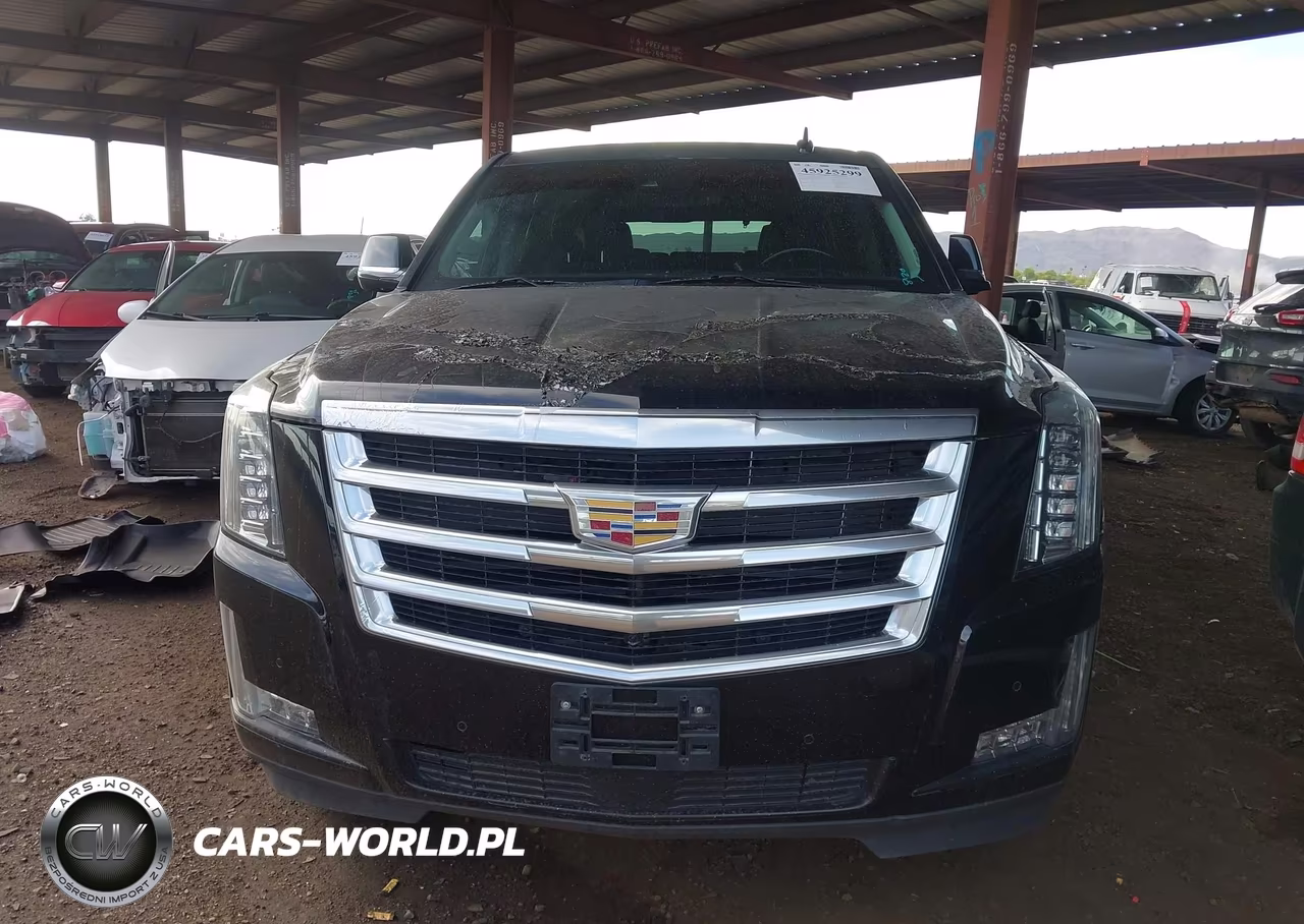 2015 Cadillac Escalade Premium VIN:1GYS4NKJ7FR646666 - 12