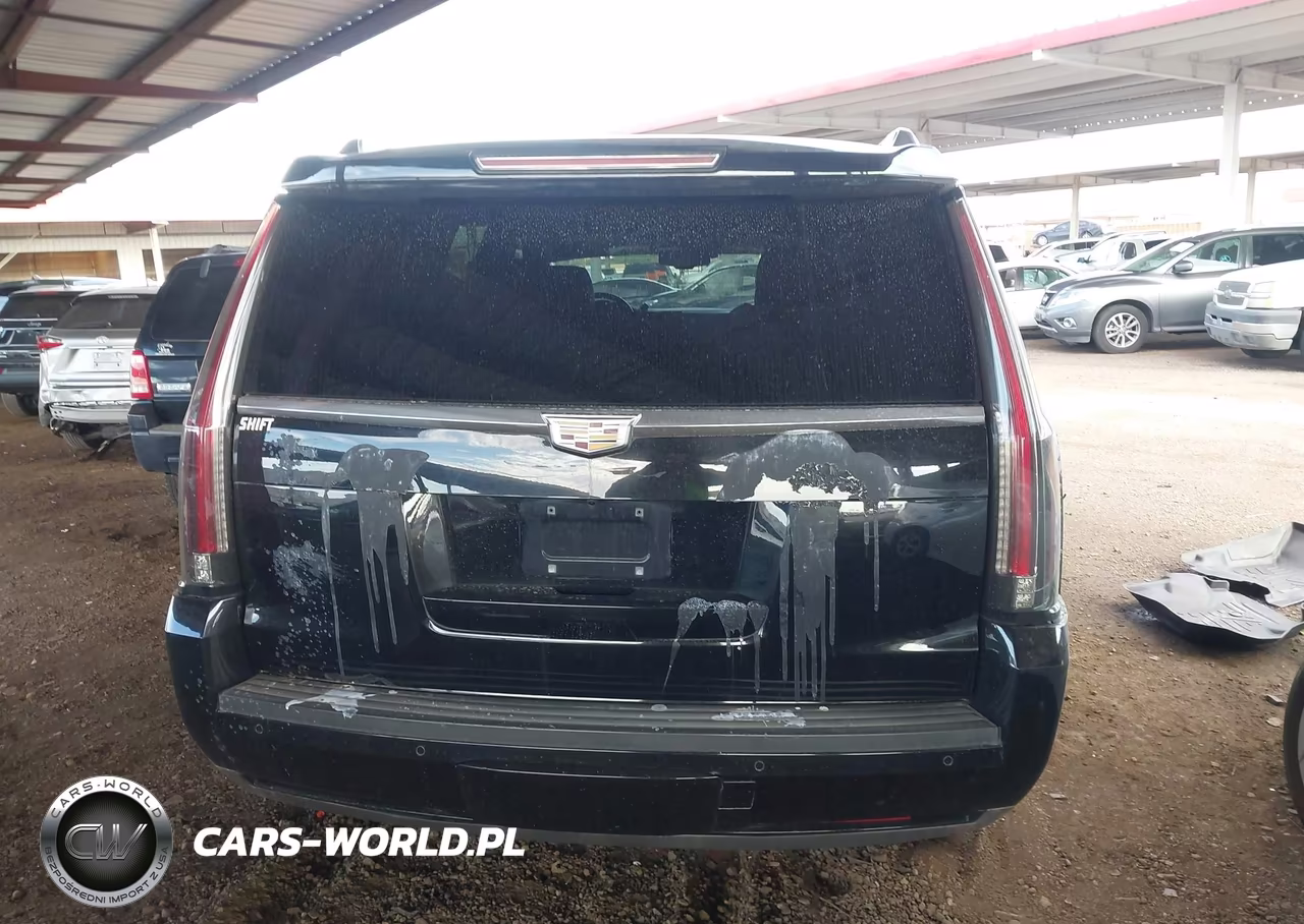 2015 Cadillac Escalade Premium VIN:1GYS4NKJ7FR646666 - 16