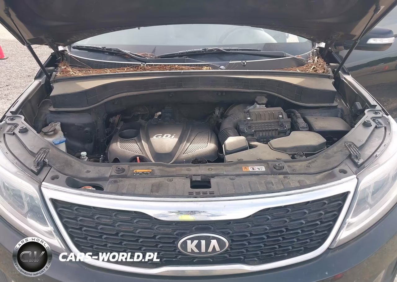 2014 Kia Sorento Lx VIN:5XYKT3A6XEG472387 - 10