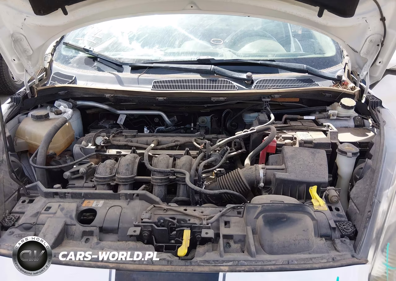 2014 Ford Fiesta Se VIN:3FADP4BJ7EM160073 - 10