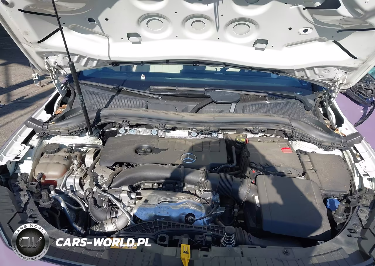 2023 Mercedes-Benz Gla 250 VIN:W1N4N4GB0PJ417939 - 10