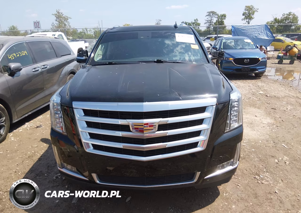 2015 Cadillac Escalade Luxury VIN:1GYS4MKJ1FR695100 - 12