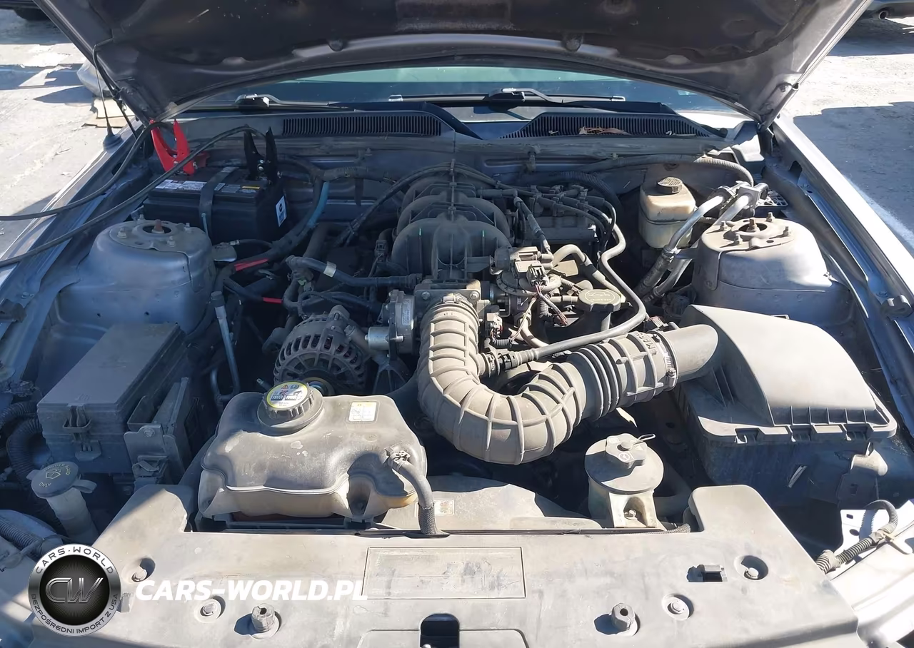 2007 Ford Mustang V6 Deluxe-V6 Premium VIN:1ZVFT80N775367497 - 10