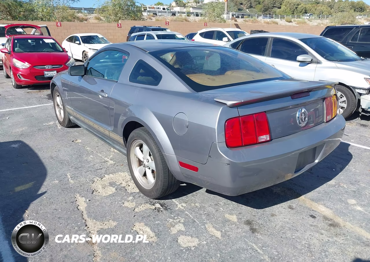2007 Ford Mustang V6 Deluxe-V6 Premium VIN:1ZVFT80N775367497 - 3