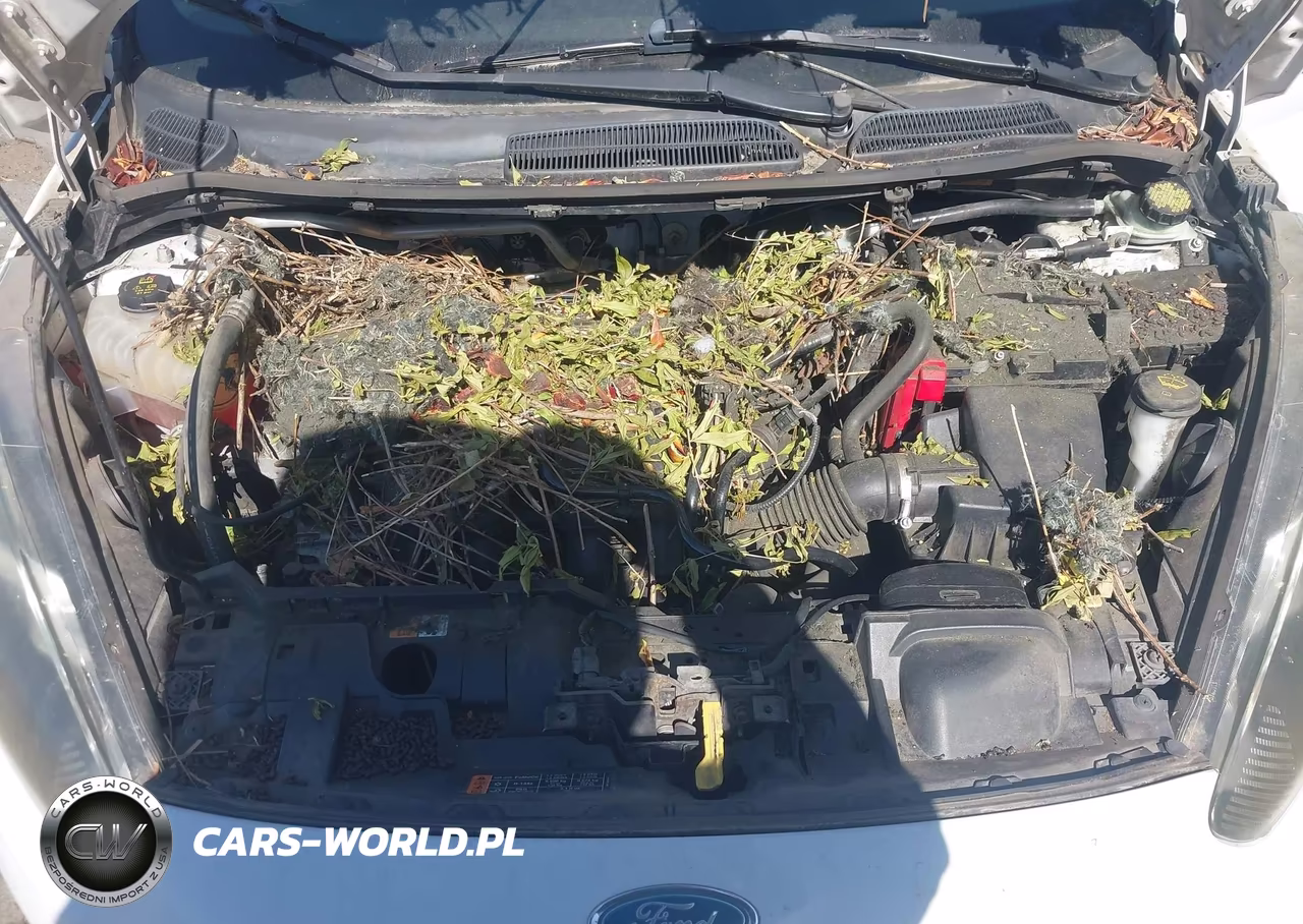 2015 Ford Fiesta Se VIN:3FADP4EJXFM164373 - 10
