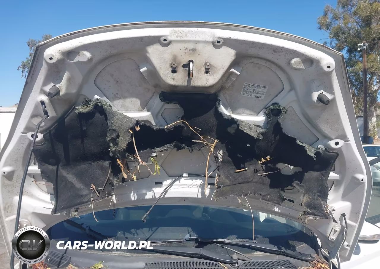 2015 Ford Fiesta Se VIN:3FADP4EJXFM164373 - 12