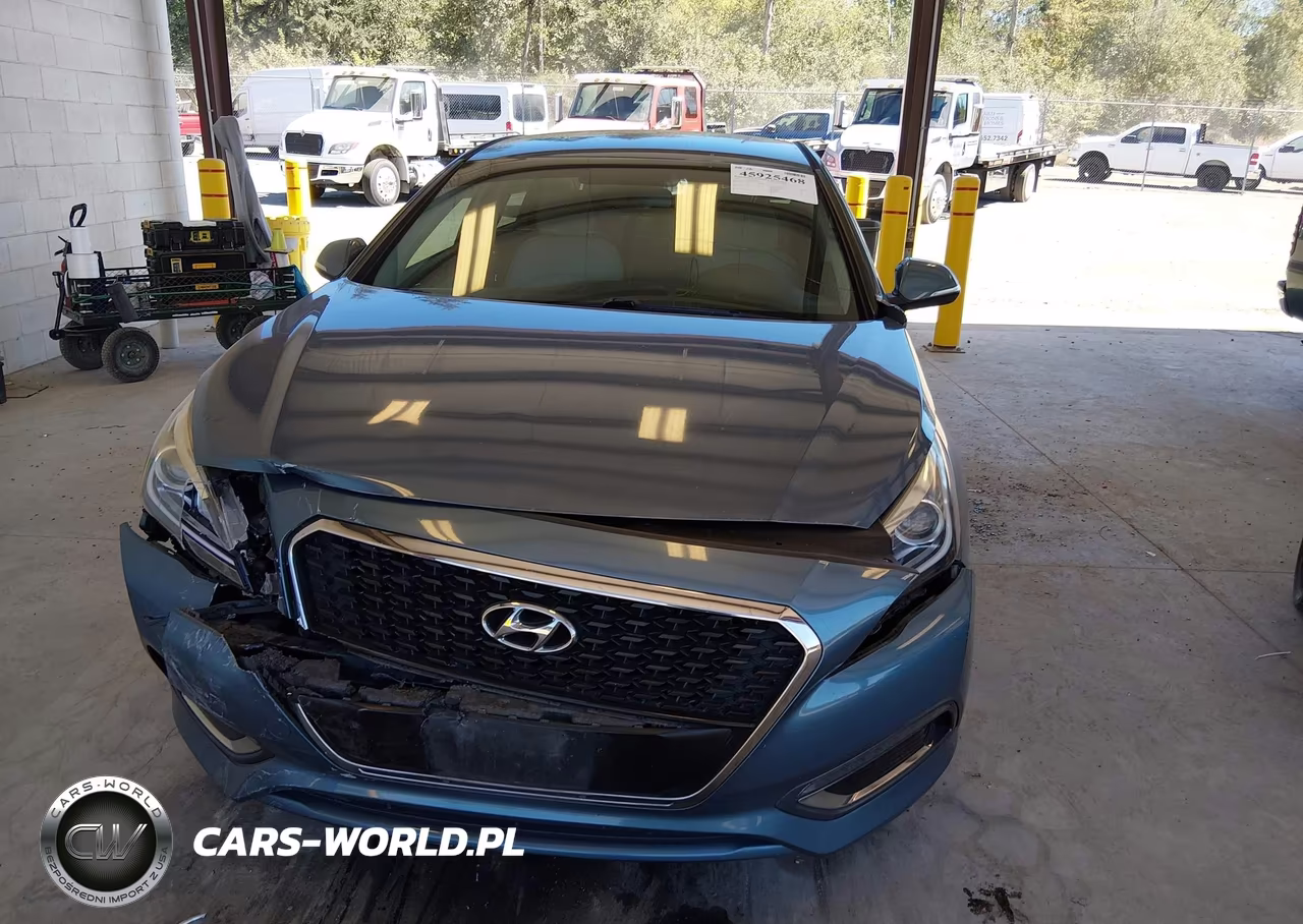 2016 Hyundai Sonata Hybrid Se VIN:KMHE24L1XGA035477 - 12