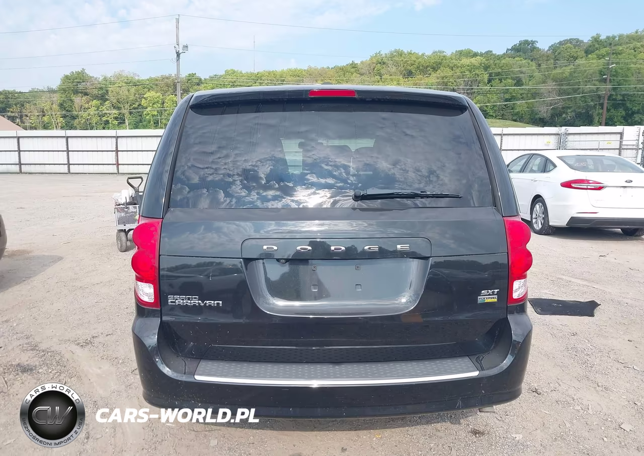 2019 Dodge Grand Caravan Sxt VIN:2C4RDGCG0KR553060 - 17