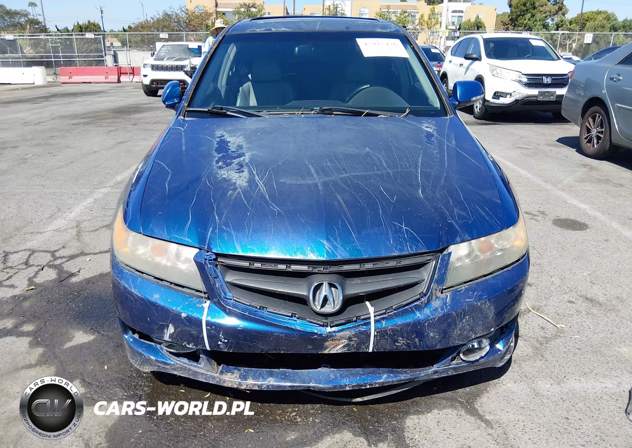 2006 Acura Tsx VIN:JH4CL96876C031175 - 13