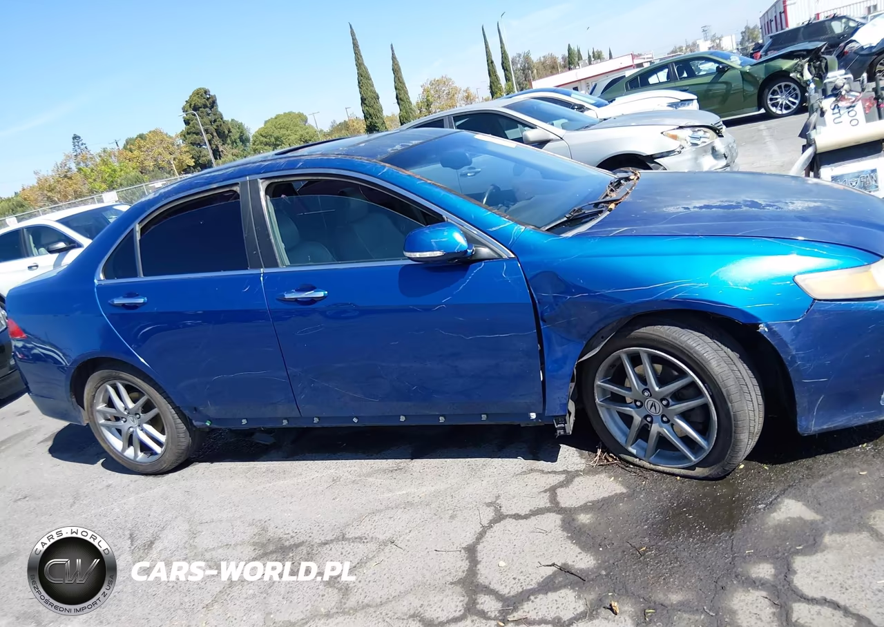 2006 Acura Tsx VIN:JH4CL96876C031175 - 14