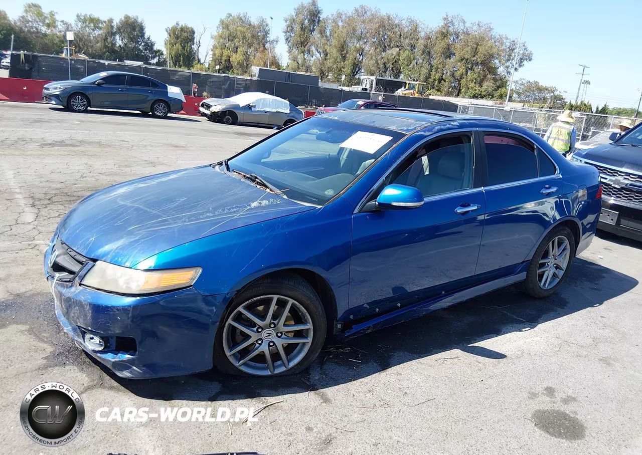 2006 Acura Tsx VIN:JH4CL96876C031175 - 2