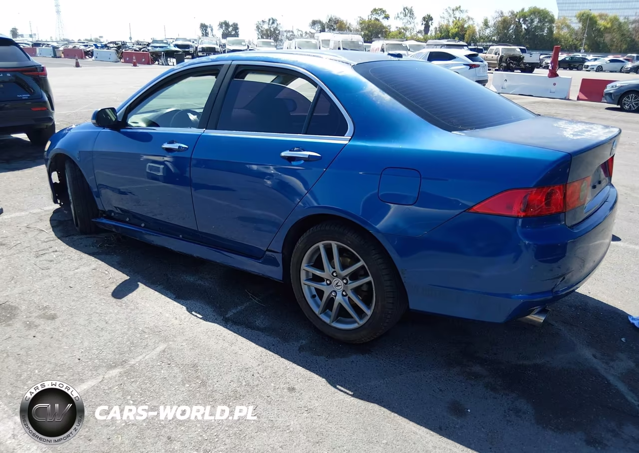 2006 Acura Tsx VIN:JH4CL96876C031175 - 3