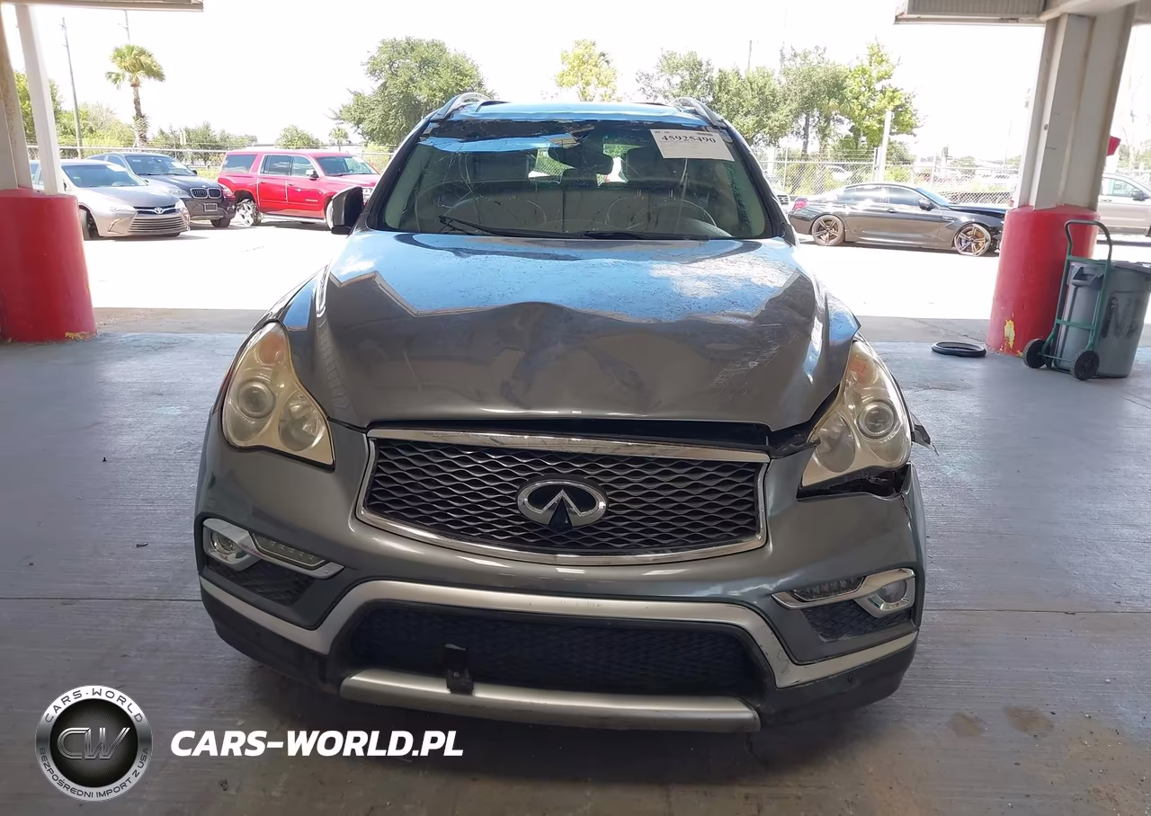 2016 Infiniti Qx50 VIN:JN1BJ0RP4GM232354 - 12