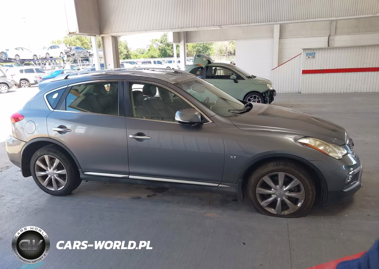2016 Infiniti Qx50 VIN:JN1BJ0RP4GM232354 - 13